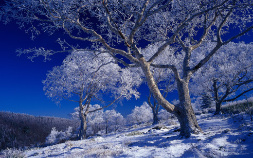 449243 (a): :1680x1050